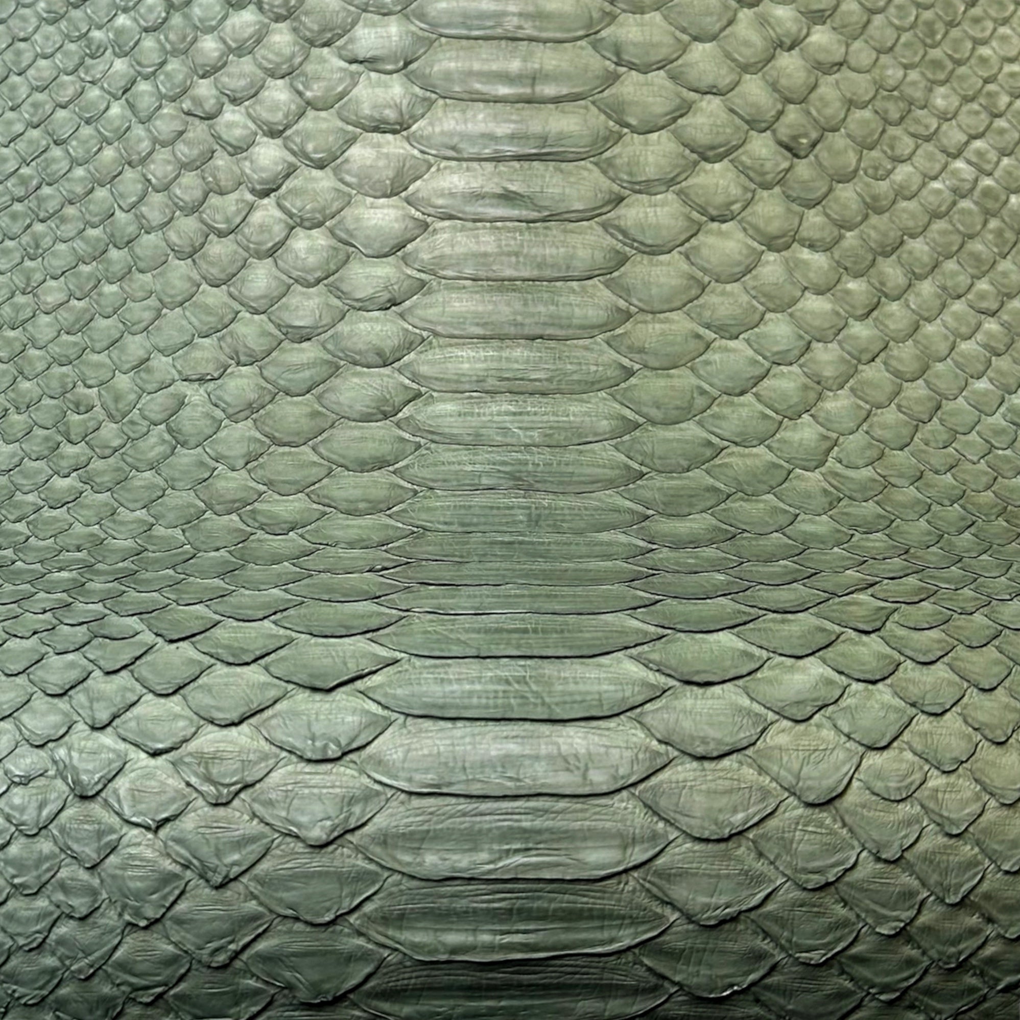 Real Green Python Hides 0.5-0.6 mm/1.25-1.6 oz KOMBU PYTHON