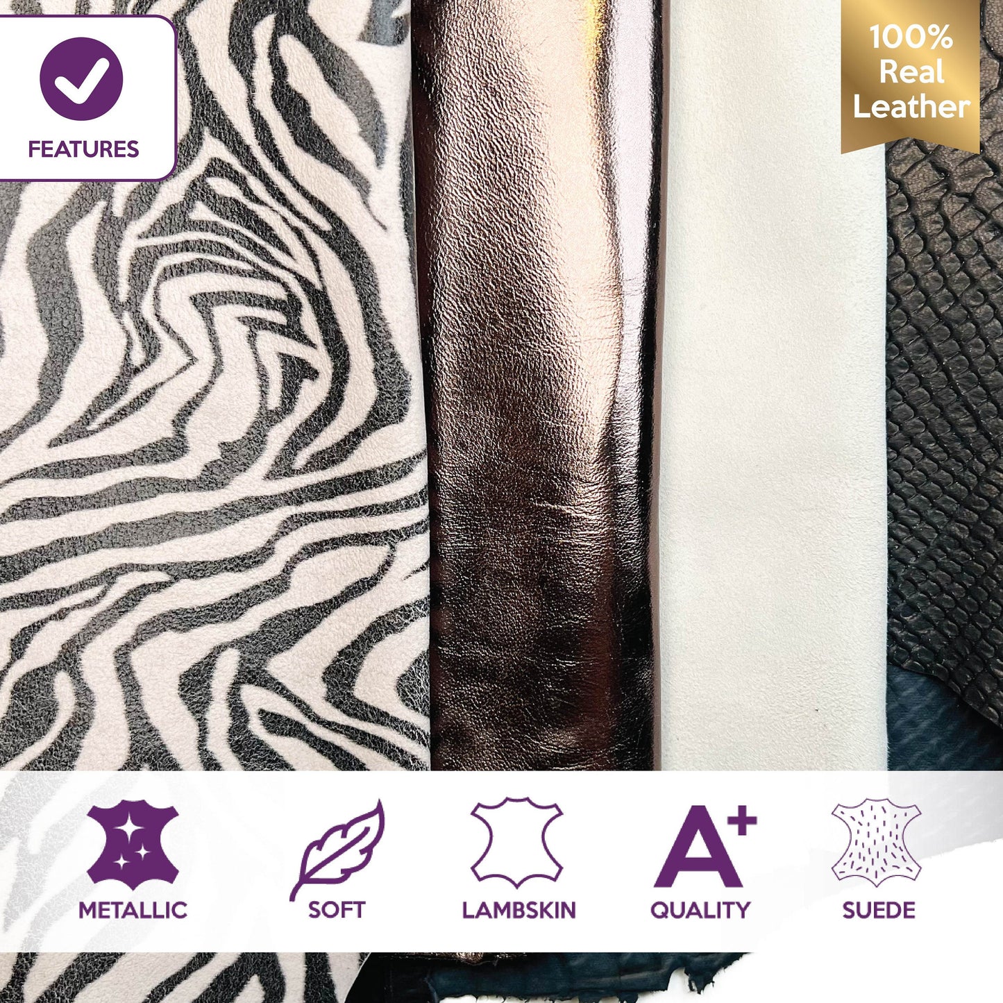 Zebra Natural Tone Off White Suede Snake Animal Embossing Bundle of 4