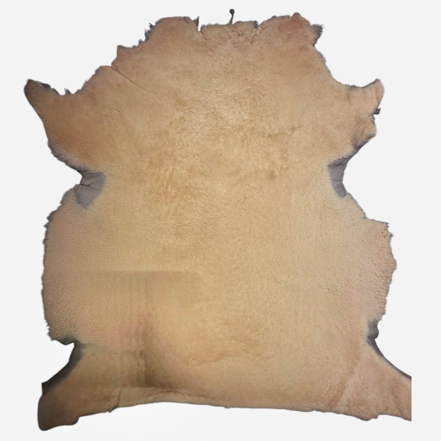 Beige Sherling Genuine Leather 1.4 - 1.6mm//3.5-4oz BEIGE SHEARLING 1584