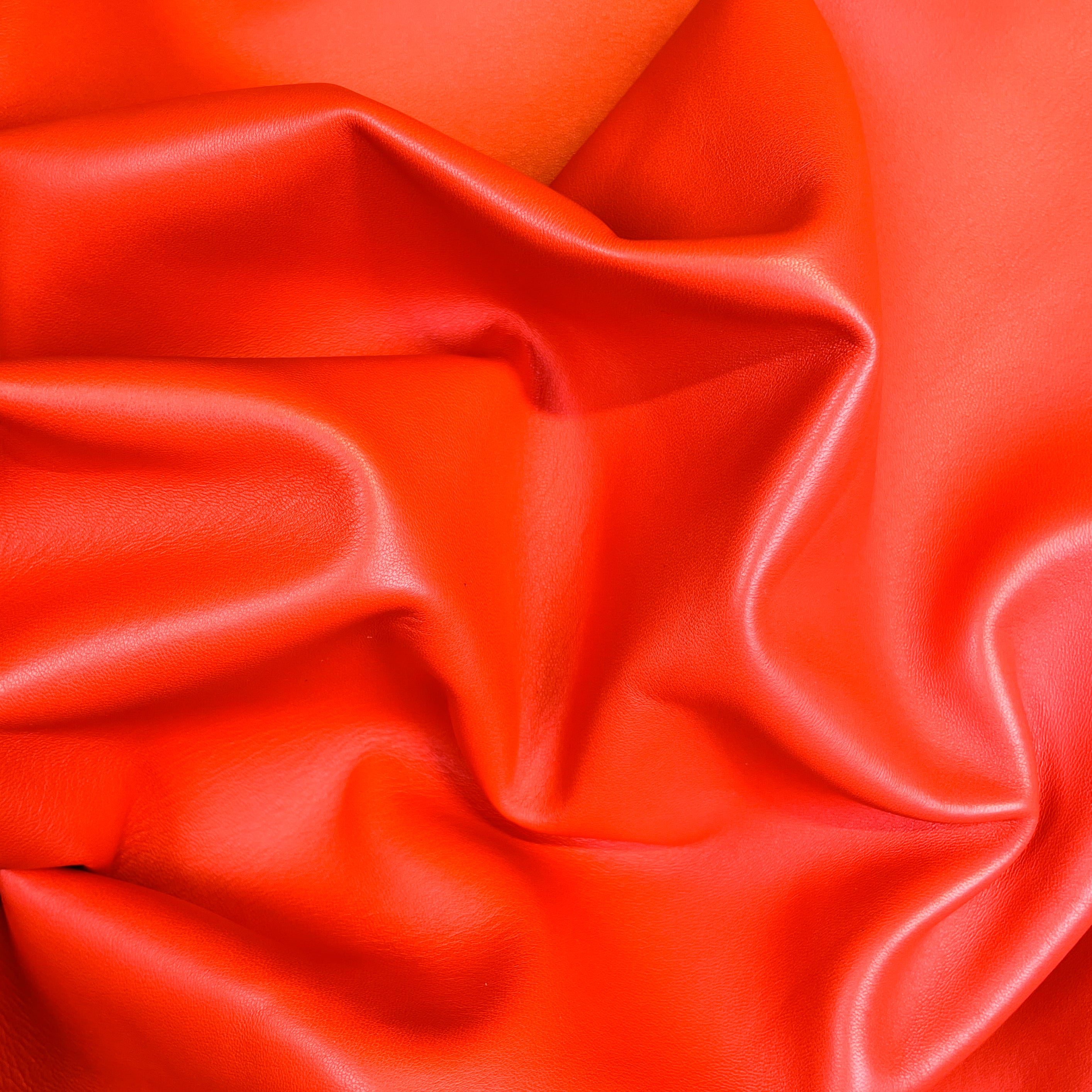 Difference Between Lambskin and Sheepskin