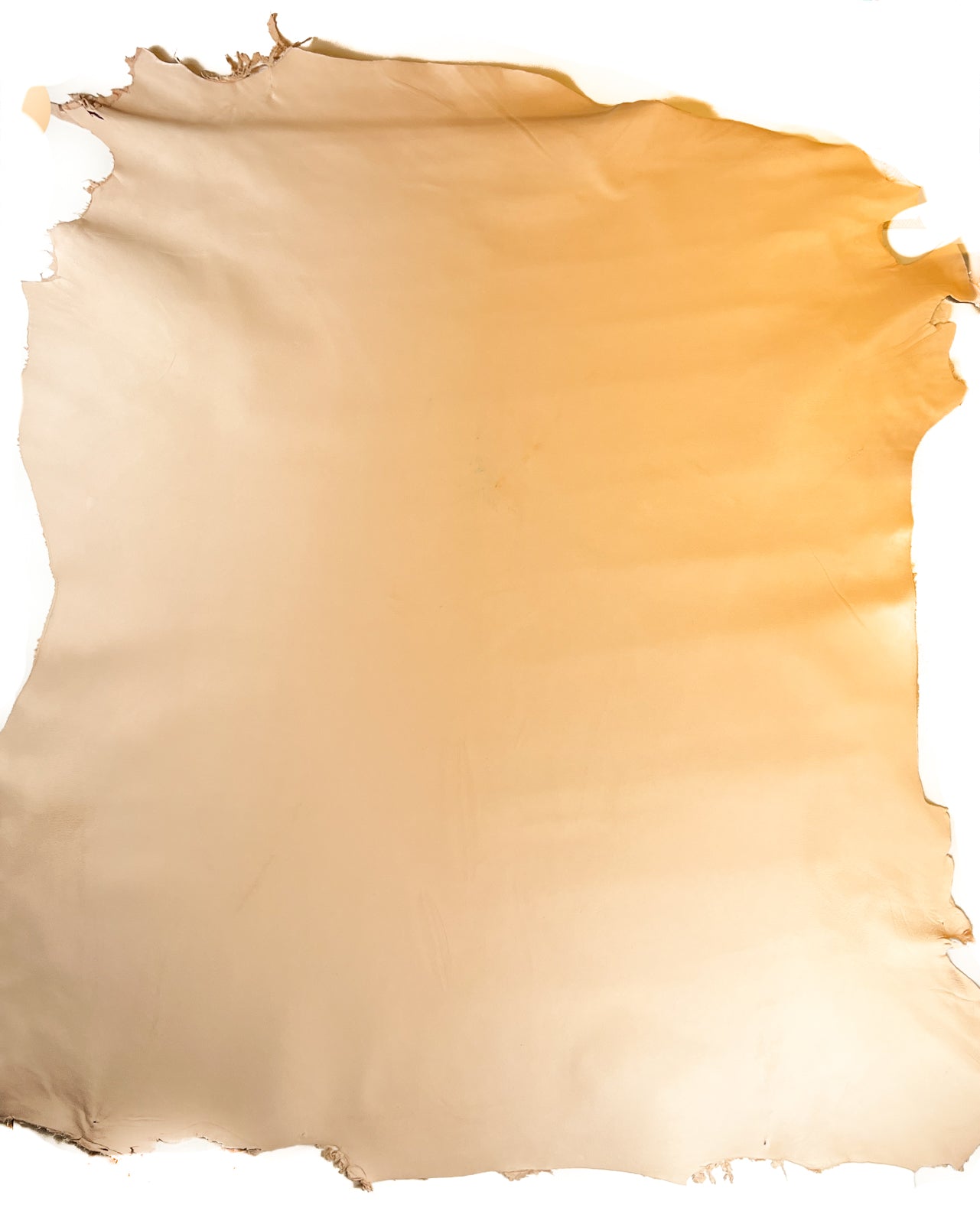 Beige Vegetable Tanned Lambskin  1.1-1.2 / 2.75-3oz LAMB VEG TAN 1484