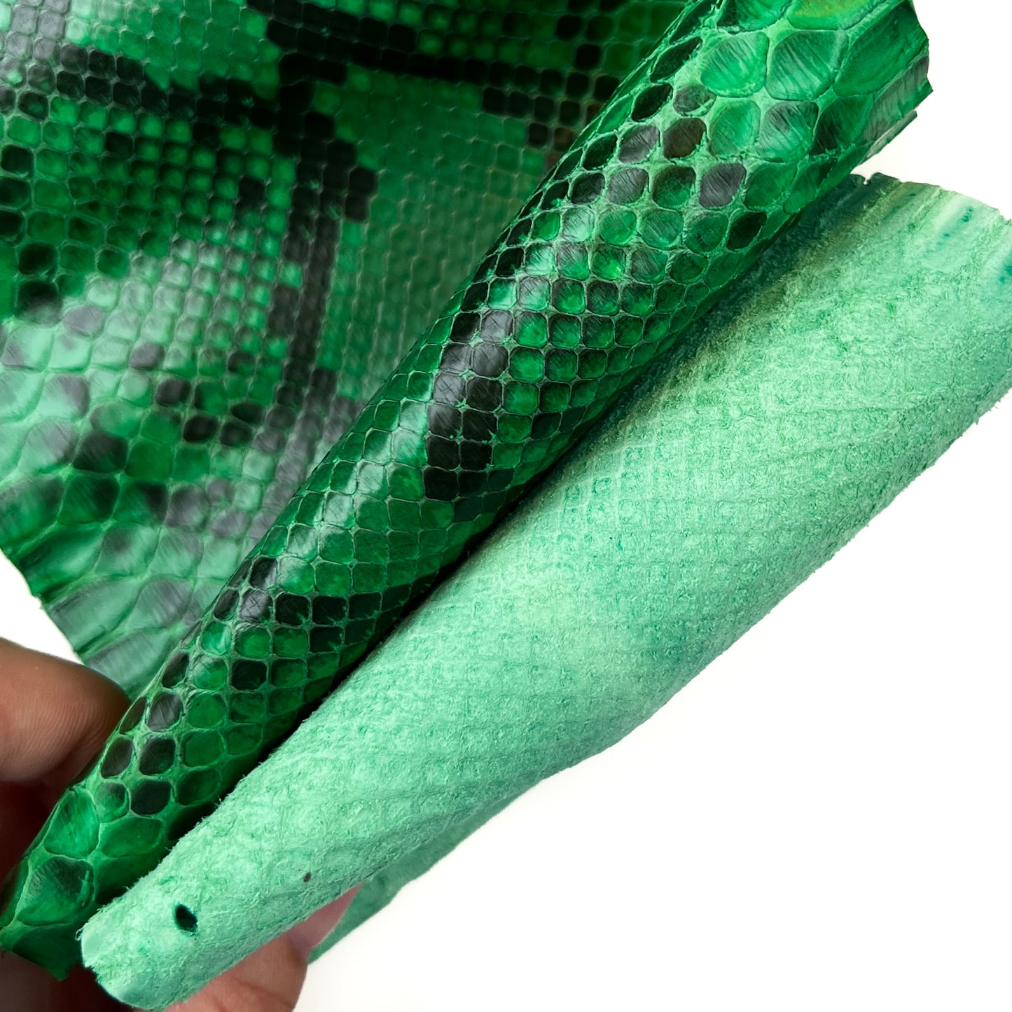 Bright Green Pythons Leather Full Skins Genuine Snakeskin  0.7mm/1.75oz