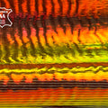 Holographic Lambskin With Lines 1mm/2.5oz RED HOLO 1127